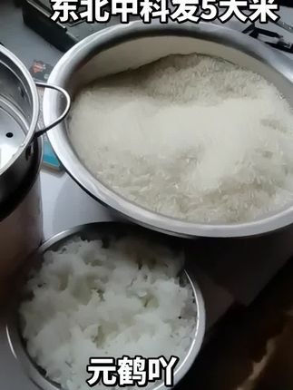 东北大米新米,口感软糯香甜,饱满Q弹,剩饭不回生,原产地包邮直发#大米 #东北大米 #美食 #为您甄选每一粒粮食 #米饭