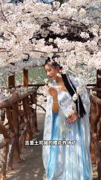 锦鲤土司城的樱花炸场了!10万棵樱花已绽放,这波春日快乐必须冲#锦鲤土司城 #春天必打卡的樱花胜地 #锦鲤土司城彩虹跑 #2026彩虹跑开往春天#旅行推荐官