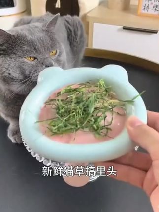 呵护侬毛球克星猫草蛋黄鸡肉冻干猫咪化毛球排毛球猫零食#毛球克星 #猫草 #鸡肉冻干 #猫咪化毛球 #排毛球