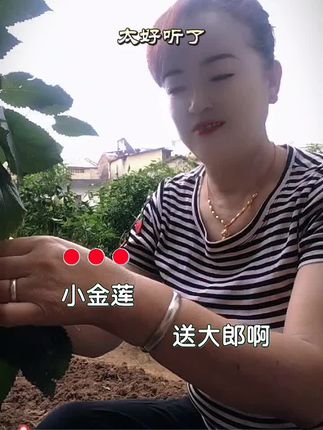 #抖音记录农村生活 非常好听的山歌,小金莲送到郎,各位五湖四海的兄弟姐妹们,大家上午好,统一回复一下,祝大家周末快乐,玩得开心,平安喜乐