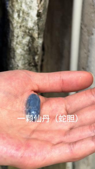 今天生吞仙丹#分享生活小技巧 #技术分享