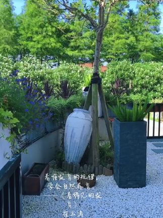 看懂发育的规律,,学会自然养育。,——《看得见的发育》,崔玉涛,#看得见的发育 #向往的生活 #院子的梦想 #晓奕视觉 #筱奕阅读