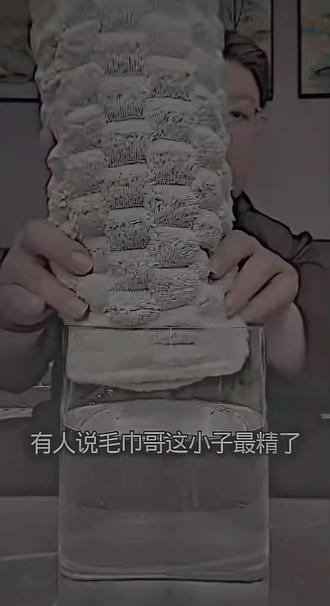 “养家糊口真男人”@鼎阳甄选(毛巾哥)