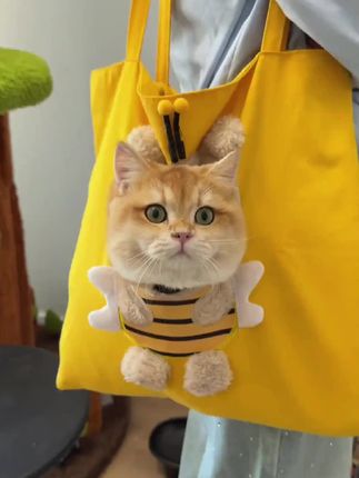 给小肥仔准备一个可爱的猫包,去外面看看新世界,随时都可以探出小脑袋#萌宠 #猫咪 #人间小奶猫 #也太可爱了吧