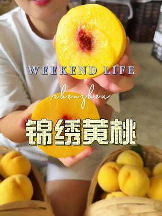 #黄桃 #桃子超甜 #锦绣黄桃