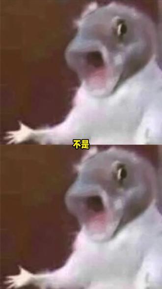 给人家蛤蟆判了六年有期徒刑 #蛤蟆 #抽象 #万万想不到