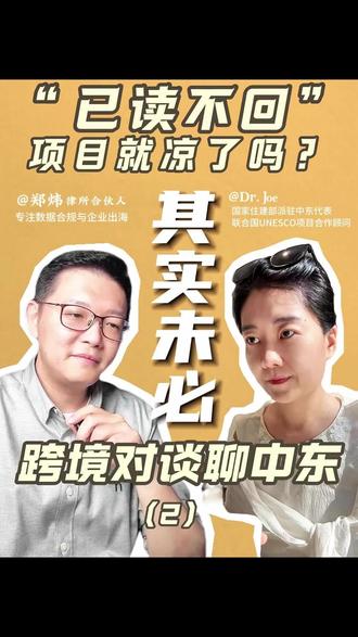 已读不回 项目凉了吗?#中东 #出海 #数据 #隐私 #一带一路