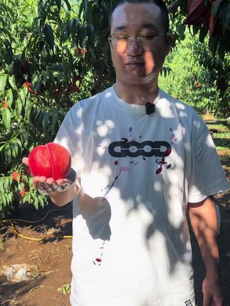 #平谷大桃#水蜜桃#桃子熟了 #夏日美食我来探