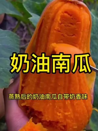 这个奶油南瓜真的太好吃了!软糯香甜非常好吃!大人小孩都喜欢