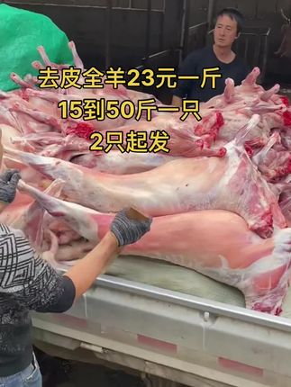 去皮全羊23元一斤，15到50斤一只，2只起发#全羊 #去皮全羊 #牛羊肉批发 #支持全国发货