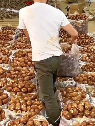 他可不是一般的芋头,果肉绵软细腻,口感软糯,入口如牛奶般丝滑,所以得名牛奶小芋头!#牛奶芋头#芋头 #优质衣产品