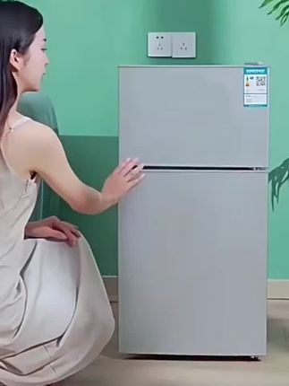 香雪海42L小冰箱家用小型电冰箱冷藏冷冻宿舍租房小冰箱双门节能B#制冰盒子 #好东西一起分享 #好物推荐🔥 #好剧推荐 #好店推荐 @DOU+上热门 @小店随心推
