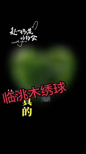 临洮木绣球5月26日下午已闭园了!
