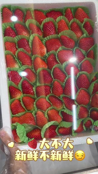 🎄圣诞树草莓酸奶砖的制作过程来喽,干净又健康噢老铁们🥰🥰#美食 #强烈推荐