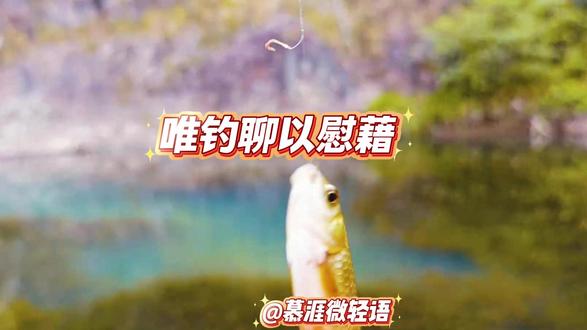 为什么钓鱼,唯钓快乐! #钓鱼 #钓鱼的乐趣只有钓鱼人懂 #城市喧嚣 #孤独的最高境界