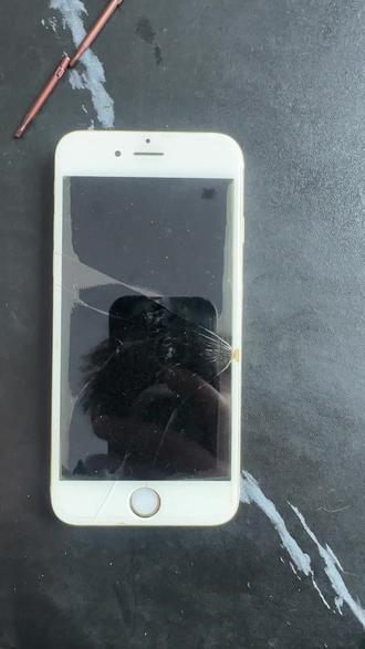 以后家里的旧手机,不要的手机统统不要扔掉或者拿去换不锈钢脸盆了,里面真的拆出了足足五块黄金。难怪当初买来这么贵!!!#苹果手机有黄金