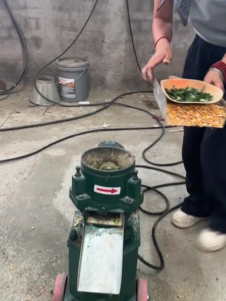 家用养殖,首选160型颗粒机#新款颗粒机#饲料颗粒机#颗粒机厂家 #饲料颗粒养殖专用饲料颗粒机 #养殖户的福音