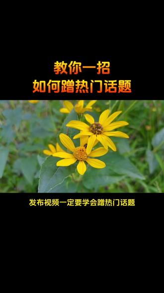 以后再发作品的时候记得带上热门话题热门音乐#抖音运营干货 #短视频技巧 #如何提升作品流量#抖音技巧分享