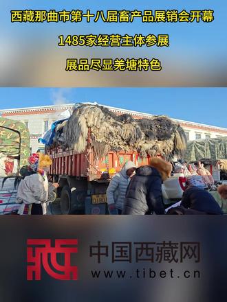 【西藏那曲市第十八届畜产品展销会开幕 1485家经营主体参展 展品尽显羌塘特色】12月15日,那曲市2025年第十八届畜产品展销会在西藏自治区那曲市色尼区物流园区农贸市场开幕。本届展销会为期5天,共吸引1485家经营主体参展,包括172家合作组织(企业)、371家家庭牧场和养殖大户以及942家农牧户,参展规模与覆盖面较往年进一步扩大。展销会现场产品丰富:现宰牦牛肉纹理鲜红、肉质紧实,古法酥油色泽金黄、香气醇厚,手工羊毛制品触感细腻、纹样精美,封装完好的虫草、贝母等藏药材品质优良,还有藏装、氆氇等承载非遗技艺的民族手工艺品,集中展现了羌塘草原的物产丰饶与文化魅力。(中国西藏网 记者/次旦拉姆)