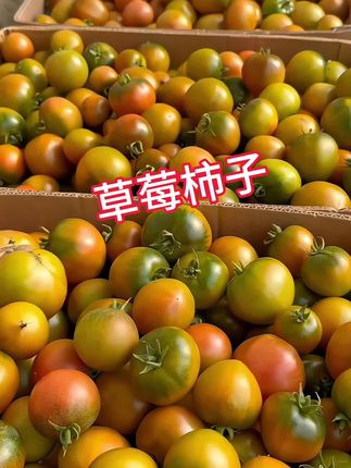 碱地草莓柿子,小时候的味道,甜中带酸,汁水浓郁,沙瓤绿籽,番茄界的贵族,铁皮草莓柿子#铁皮柿子 #碱地西红柿 #铁皮西红柿