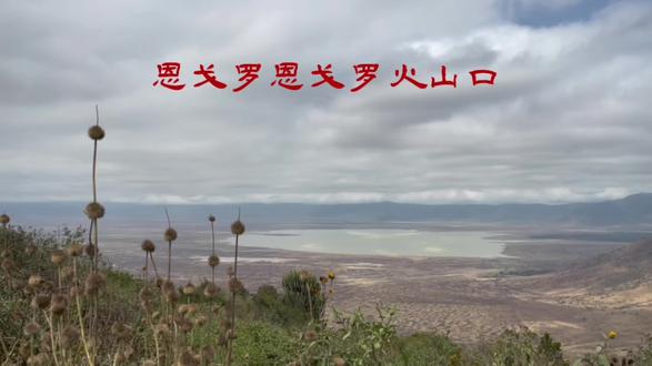 坦桑尼亚恩戈罗恩戈罗火山口