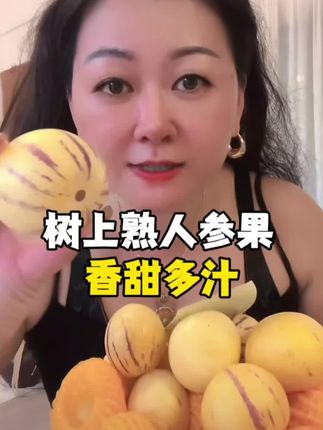 【超好吃的人参果】正宗云南石林人参果树上熟黄心香甜多汁新鲜采摘#人参果 #水果 #可口多汁 #好吃