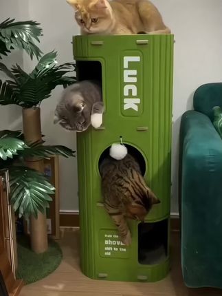 猫窝多层四季通用 猫爬架猫树一体,有了它等于同时拥有了几个猫窝加猫抓板猫爬架#猫咪 #猫窝#猫爬架#猫抓板#宠物用品