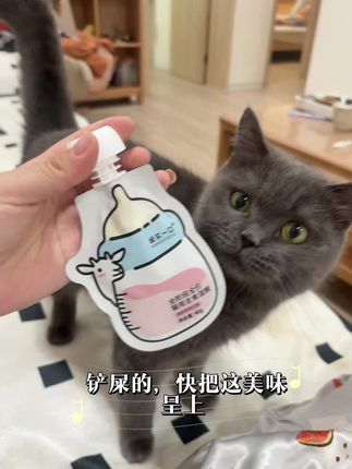 还有不爱吃湿粮的喵星人嘛🐱#诚实一口奶瓶酱 #猫咪湿粮 #猫咪爱吃什么 #猫咪饮食