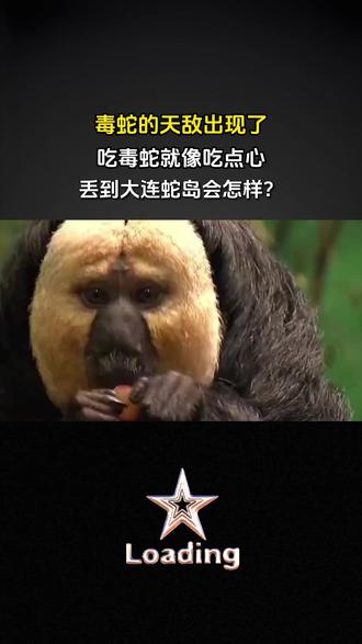 蛇的天敌居然是它,眼镜蛇是饭后点心? #热点 #科普 #蛇