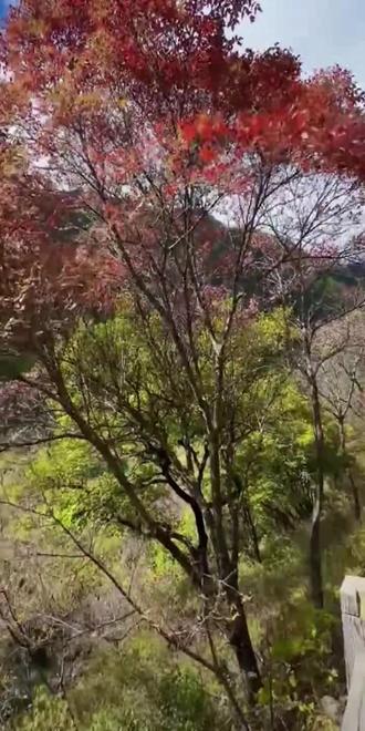 #许我耀眼 #赵露思 #陈伟霆 #赵露思 #许妍