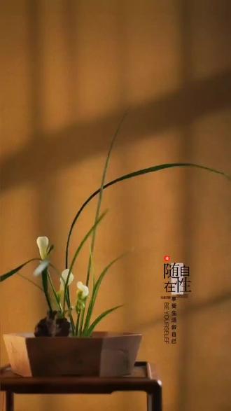 男人最好的补药,从来不是养生,而是那个懂他、疼他、信他的女人。
不用演,不用绷,累了有杯热茶,受气了有人倾听,得意时有人分享。
补的不是器官,是魂。
没有这份温暖,再自律的养生,也填不满心里的空。