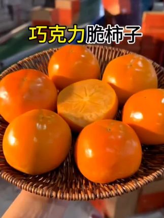 #创作灵感 一年就吃二十多天的#巧克力脆柿子,每一个都自带冰糖心,脆甜多汁不涩口不麻嘴,果园现摘现发,特别新鲜!#柿子#脆甜柿子#谁懂这一口的好吃程度