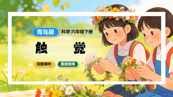 触觉青岛版科学课件六年级下册公开课新教材教案备课 #青岛版 #青岛版 #青岛版科学 #科学公开课 #科学课件 #小学科学 #科学新教材 #科学备课
