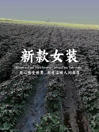 #显高显瘦显腿长 #夏季薄款烟管裤