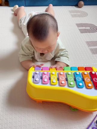 八音手敲琴宝宝二合一婴幼儿儿童音乐启蒙钢琴礼物儿童节礼物六一