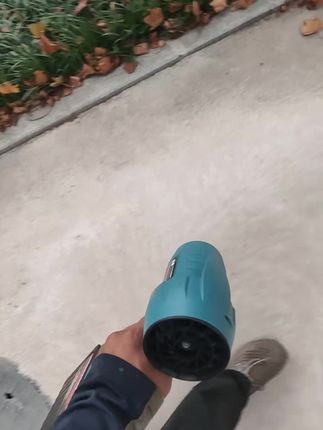 又到了秋天落叶的时候了,用暴风机清理一下吧#省力工具