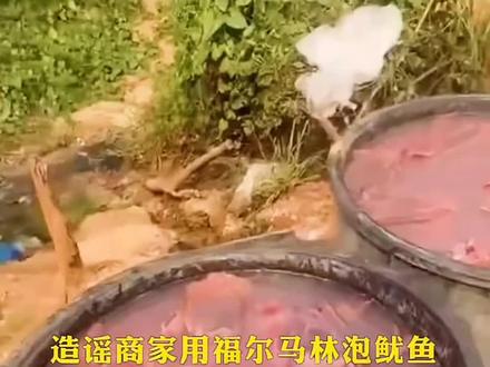 福尔马林泡鱿鱼 #同城热点上热门 #抖音热门小助手