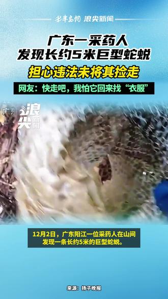 广东一采药人发现长约5米巨型蛇蜕,担心违法未将其捡走 广东一采药人发现长约5米巨型蛇蜕,担心违法未将其捡走,网友:快走吧,我怕它回来找“衣服”#广东 #采药人 #巨型蛇蜕