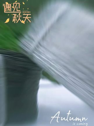 塑钢线高强度养殖大棚线百香果葡萄架拉线搭架专用钢塑线托压膜绳#养蜂技术 #养蜜蜂 #家庭情感 #我的乡村生活