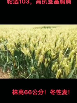 #上热门 #三农 #新农人计划2022 #农村生活 #助力三农