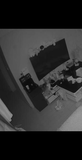 他只是不会说话而已,其实什么都明白#布偶猫 ##聪明布偶猫