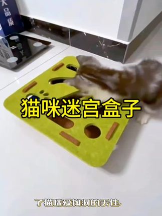 #我要上热门🔥 猫咪迷宫盒子,你家猫咪也爱玩吗?#猫咪#迷宫#宠物玩具#萌宠@巨量引擎小助手 @DOU+小助手 @巨量千川