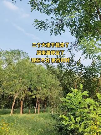 #便宜#超便宜超划算