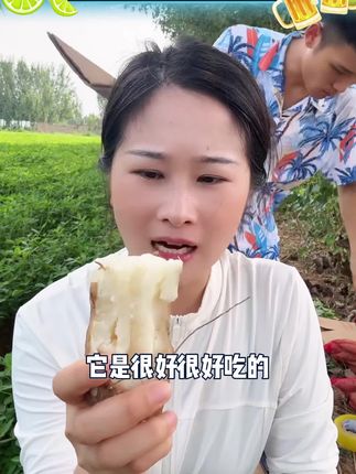 主播推荐河南正宗沙地哈密冰糖薯净重4.5斤红薯 #蜜薯 #哈密冰糖薯 #冰糖薯 #番薯 #好物分享