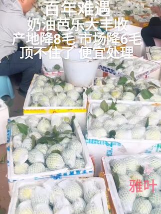 #一口掉进水果味的夏天#芭乐#原产地#超便宜超划算 #优质农产品
