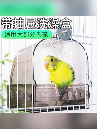 鹦鹉洗澡盆大号虎皮牡丹专用浴室鸟洗澡鸟笼洗澡盒#鹦鹉洗澡盆推荐 #鹦鹉洗澡盆 #鸟笼洗澡盒