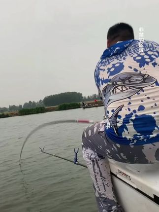 #钓鱼#饵料#鱼#钓鱼人#太弘