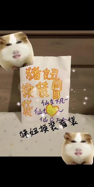 猪妞换装盲袋#猪妞妞