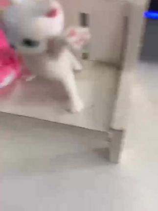 艾塔莉显瘦阔腿裤半松紧腰女牛仔裤子梨形身材大码百搭萝卜裤新款#阔腿裤 #显瘦阔腿裤 #萝卜裤 #牛仔裤 #百搭阔腿裤