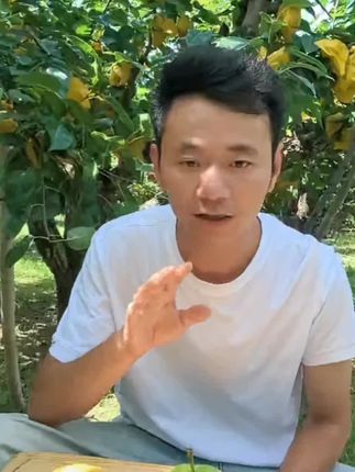 安徽砀山青皮蜜梨上市了,脆甜可口#新鲜采摘#